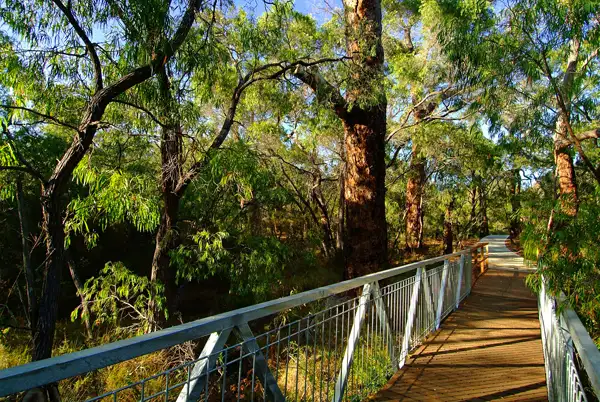 Main view of Homely land listing, Lot 404 Sloan Drive, Dunsborough WA 6281