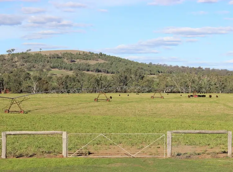 Fourth view of Homely rural property listing, 648 River Road, Geurie NSW 2818
