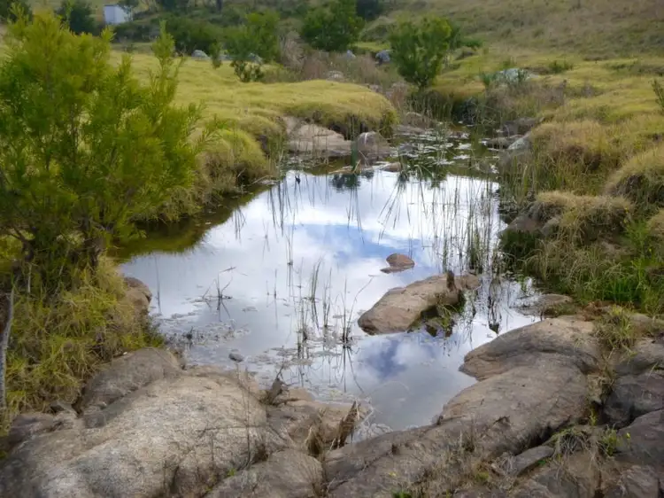 Fifth view of Homely rural property listing, 184 Snowy Mtns Hwy, Bega NSW 2550