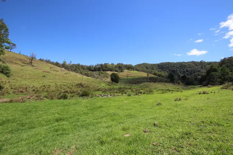 Sixth view of Homely rural property listing, Lot 133 Forbes River Road, Birdwood NSW 2446