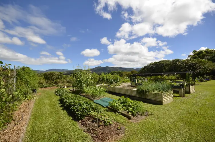 Seventh view of Homely house listing, 106 Windsor View Road, Julatten QLD 4871