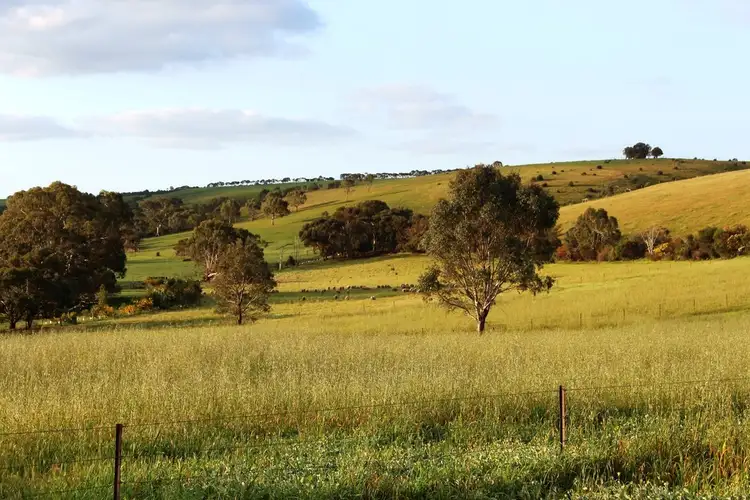 Third view of Homely rural property listing, 140 Mine Flat Road, Strathalbyn SA 5255