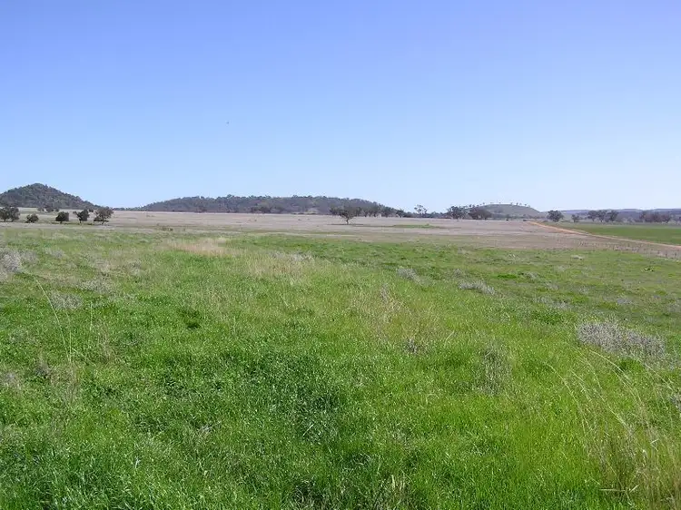 Fourth view of Homely rural property listing, Nombi Road, Mullaley NSW 2379