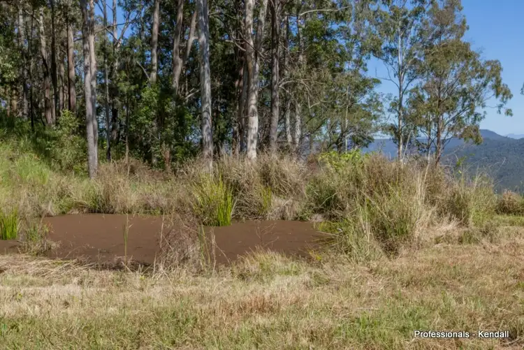 Sixth view of Homely land listing, 905A Main Western Road, Tamborine Mountain QLD 4272