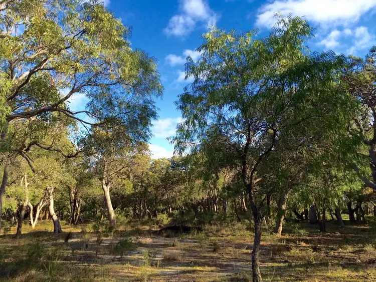 Fifth view of Homely land listing, Lot 103 Gunyulgup Valley Drive, Yallingup WA 6282