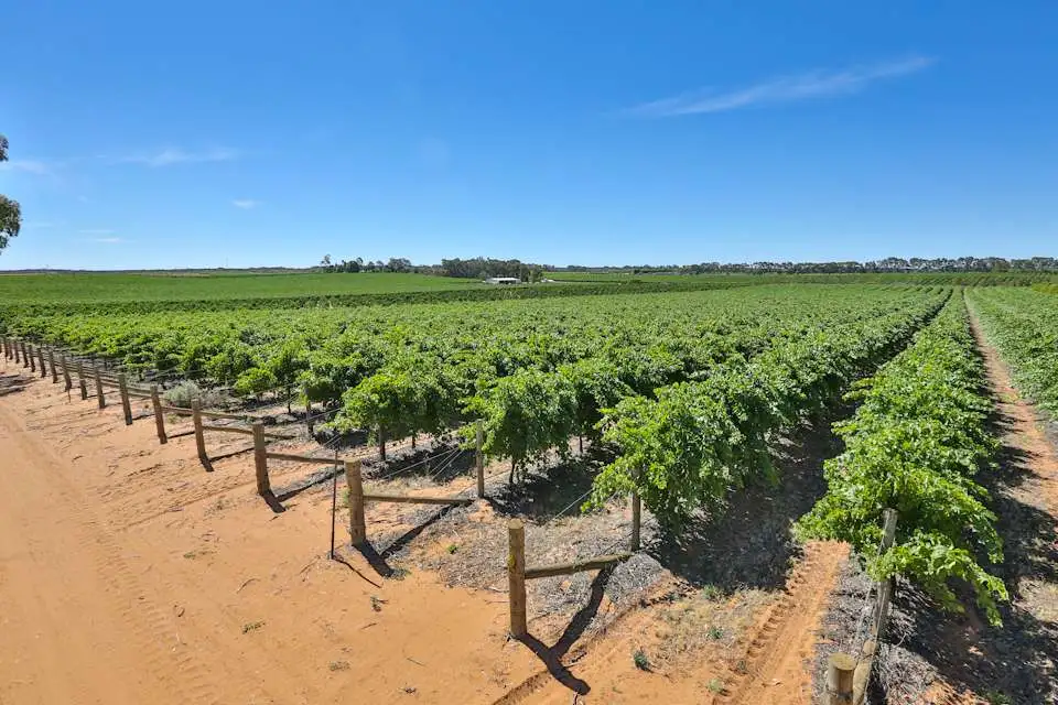 Main view of Homely rural property listing, 18 Lewis Road, Colignan VIC 3494