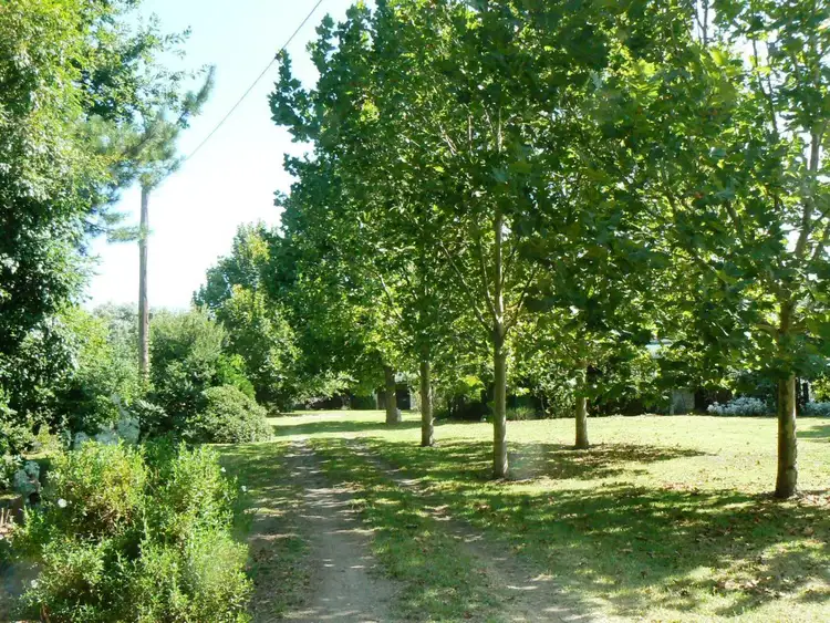 Third view of Homely house listing, 481 B Road, Orbost VIC 3888