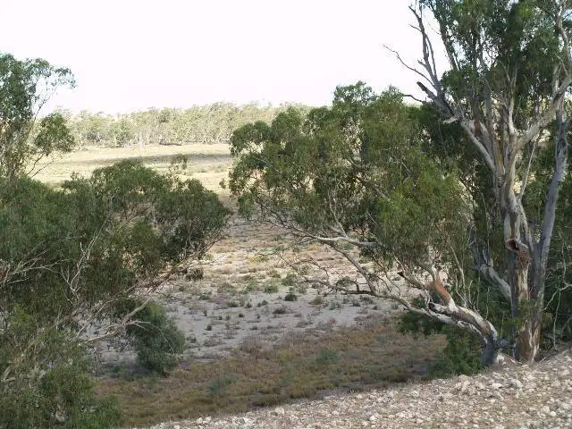 Fifth view of Homely rural property listing, 54 & 56 Murraylands Road, Blanchetown SA 5357