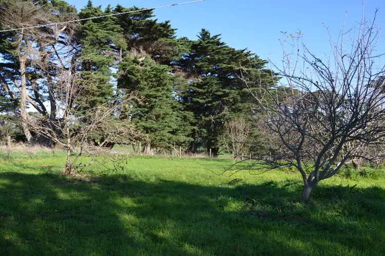 Sixth view of Homely rural property listing, 270 Bena Kongwak Road, Bena VIC 3946