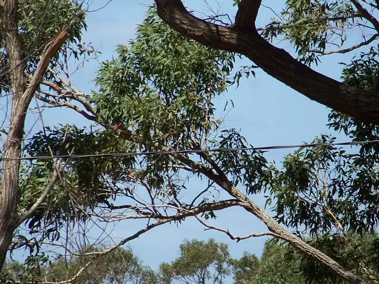 Fourth view of Homely land listing, 62-64 LUCAS dr, Lamb Island QLD 4184