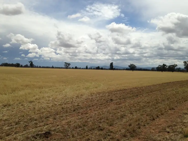 Fifth view of Homely rural property listing, Address available on request