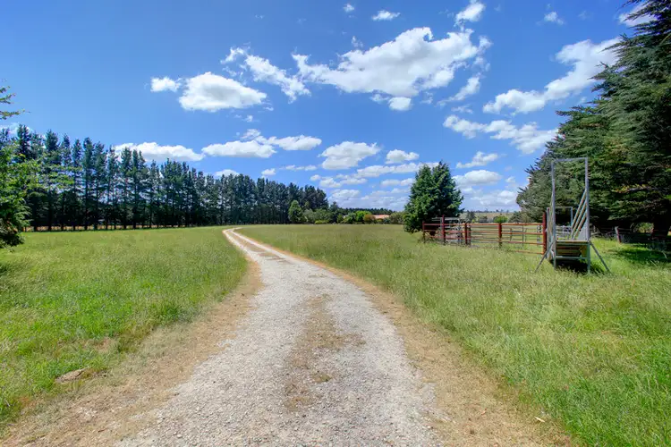 Fifth view of Homely rural property listing, 480 Golden Vale Rd, Sutton Forest NSW 2577