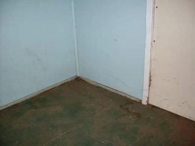 Seventh view of Homely house listing, 65 Jose Street, Mullewa WA 6630