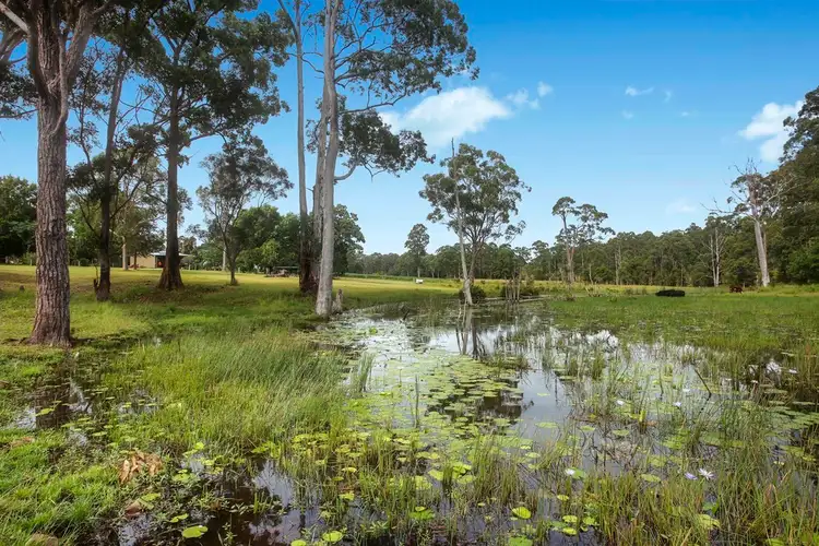 Main view of Homely rural property listing, 605 Stoney Creek Road, Redbank NSW 2446