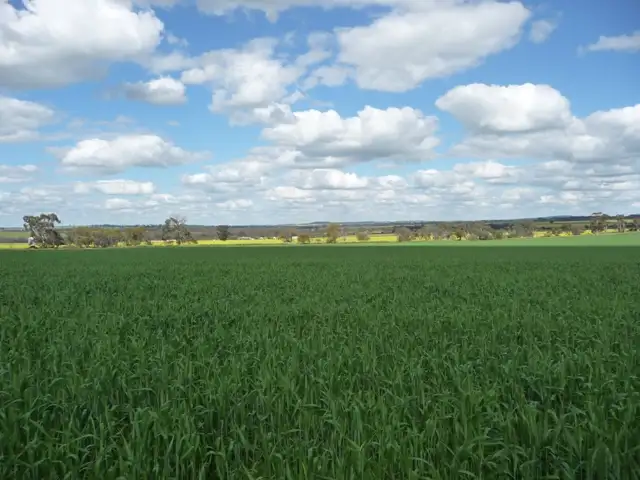 Main view of Homely rural property listing, Lot 802 Parker Road, York WA 6302