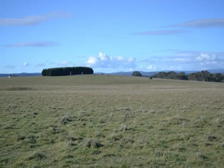 Fifth view of Homely rural property listing, Lot 99 Coppabella Road, Rosewood NSW 2652