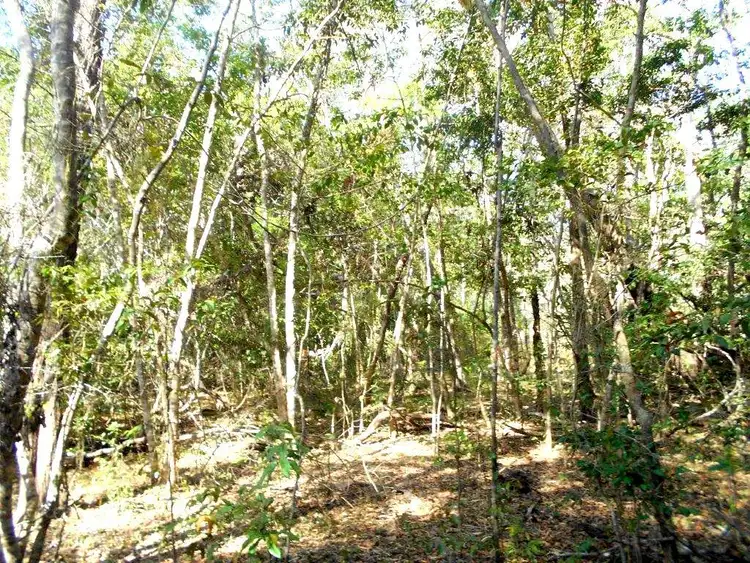 Third view of Homely land listing, L305 Masthead Drive, Agnes Water QLD 4677