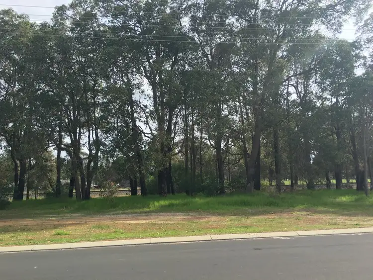 Seventh view of Homely land listing, 16 Bridge Street, Boyanup WA 6237