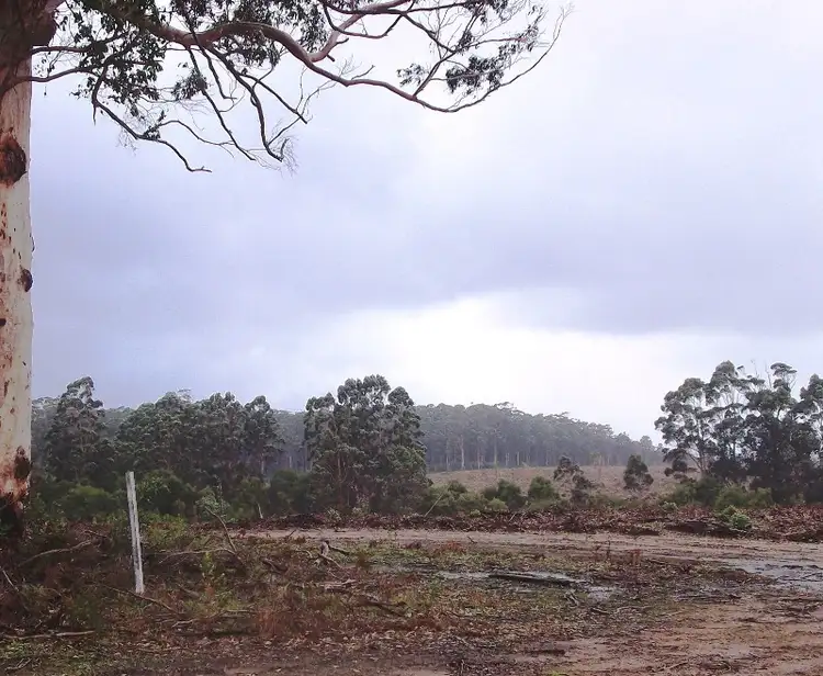 Main view of Homely rural property listing, Lots Richardson Road, Northcliffe WA 6262