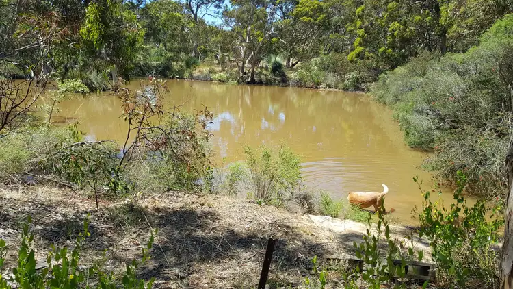 Sixth view of Homely rural property listing, 295 Gould Road, Currency Creek SA 5214