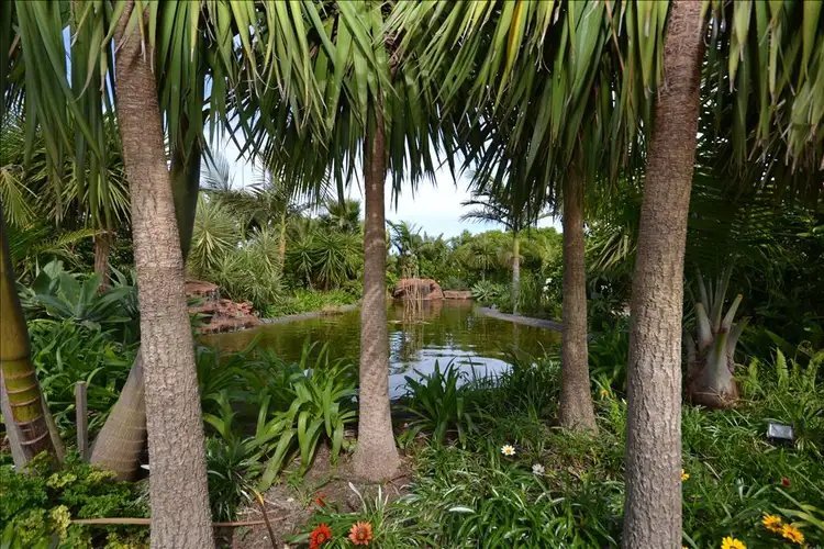 62 Bennett Place, Worrigee NSW 2540