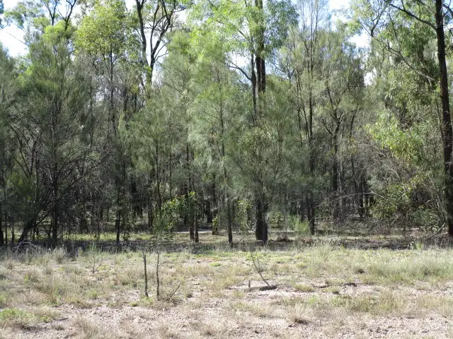 Fourth view of Homely rural property listing, LOT 25 CHARLES DRIVE, Tara QLD 4421