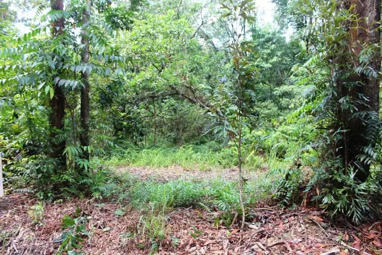 Fourth view of Homely land listing, 75 Forest Creek Road FOREST CREEK, Daintree QLD 4873