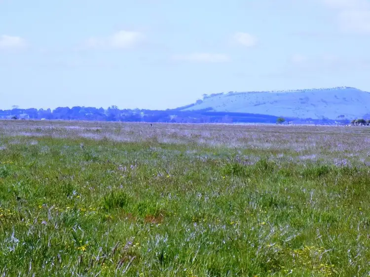 Second view of Homely land listing, Lot 17 McGuigans Road, Millbrook VIC 3352