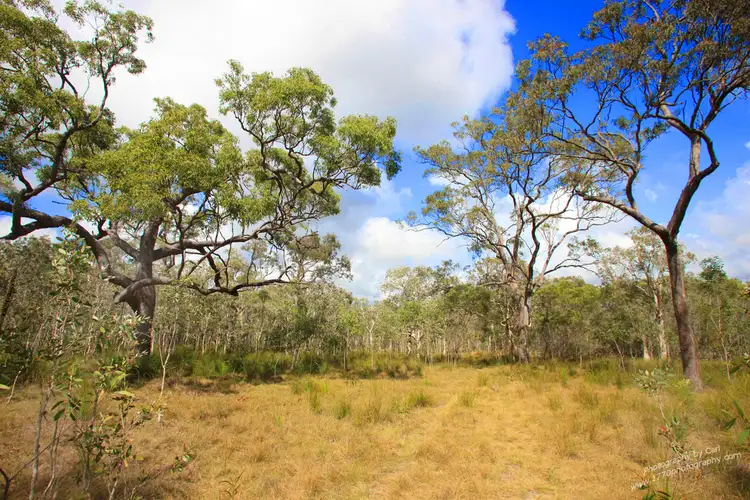 Fourth view of Homely land listing, 156 Masthead, Agnes Water QLD 4677