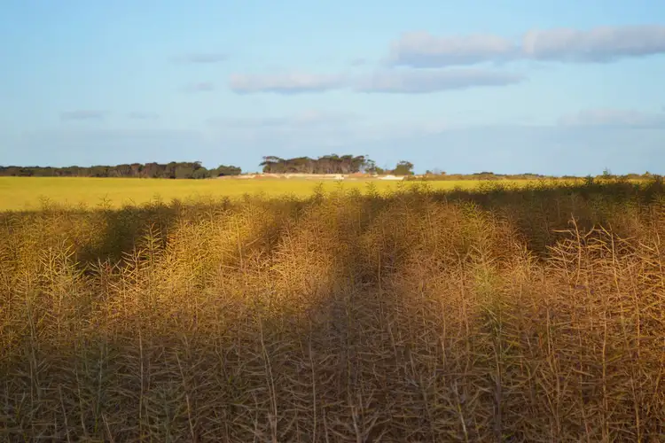 Second view of Homely rural property listing, Lots 50, 51 & 52, Emu Bay Rd, Emu Bay SA 5223