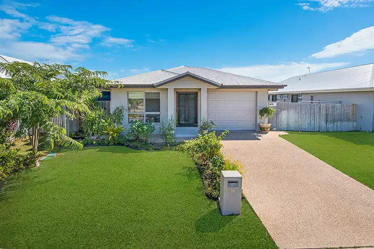 Main view of Homely house listing, 16 Rodeo Drive, Mount Louisa QLD 4814