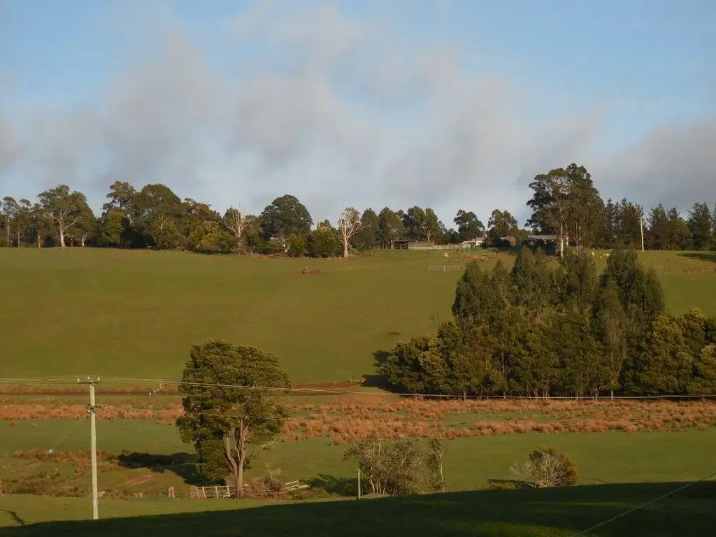Main view of Homely house listing, 311 ADAMS ROAD, Lebrina TAS 7254