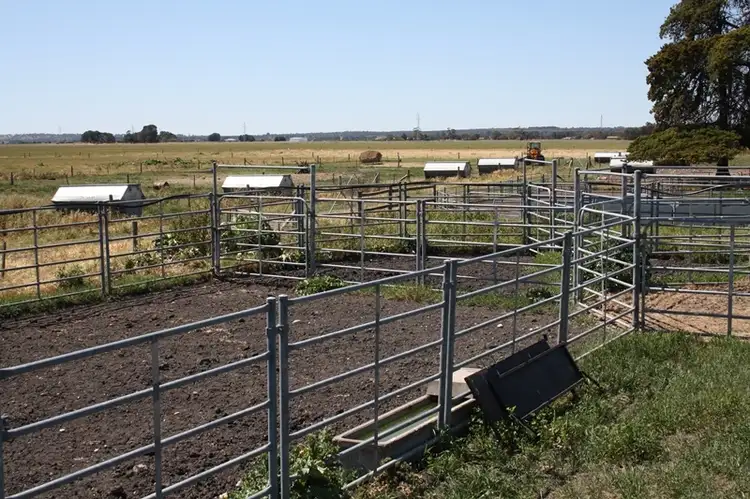 Third view of Homely rural property listing, Lot 100 Donoghues Road, Naracoorte SA 5271