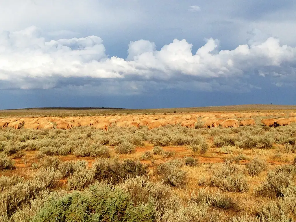 Main view of Homely rural property listing, "Glenora" Eastern Road, Burra SA 5417