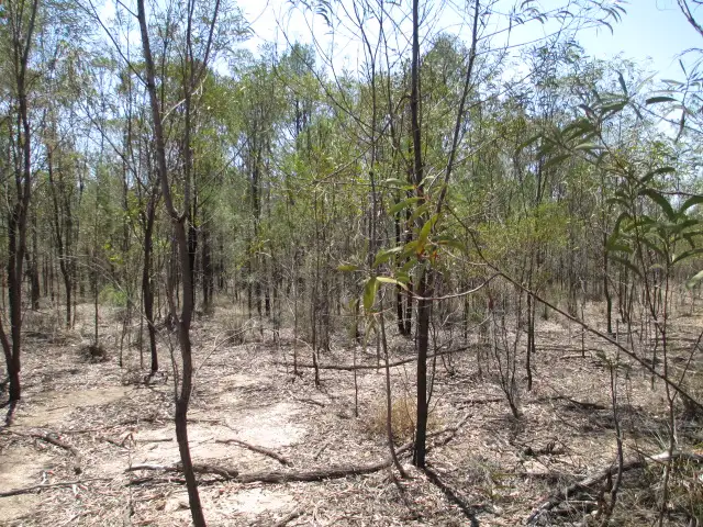 Third view of Homely rural property listing, LOT 27/570 UPPER HUMBUG RD, Tara QLD 4421