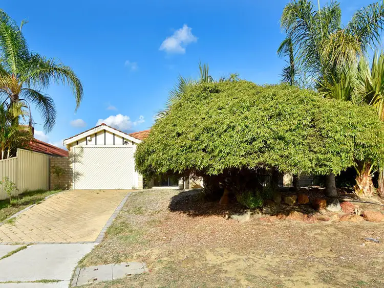 Second view of Homely house listing, 40 Dandenong Way, Alexander Heights WA 6064