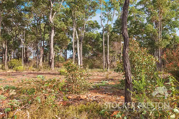 17 Holly Place, Cowaramup WA 6284