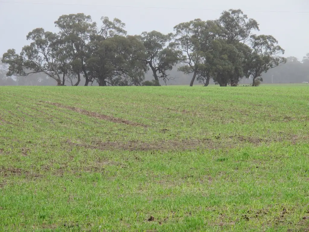Main view of Homely land listing, 112 Lawsons Road, Dimboola VIC 3414