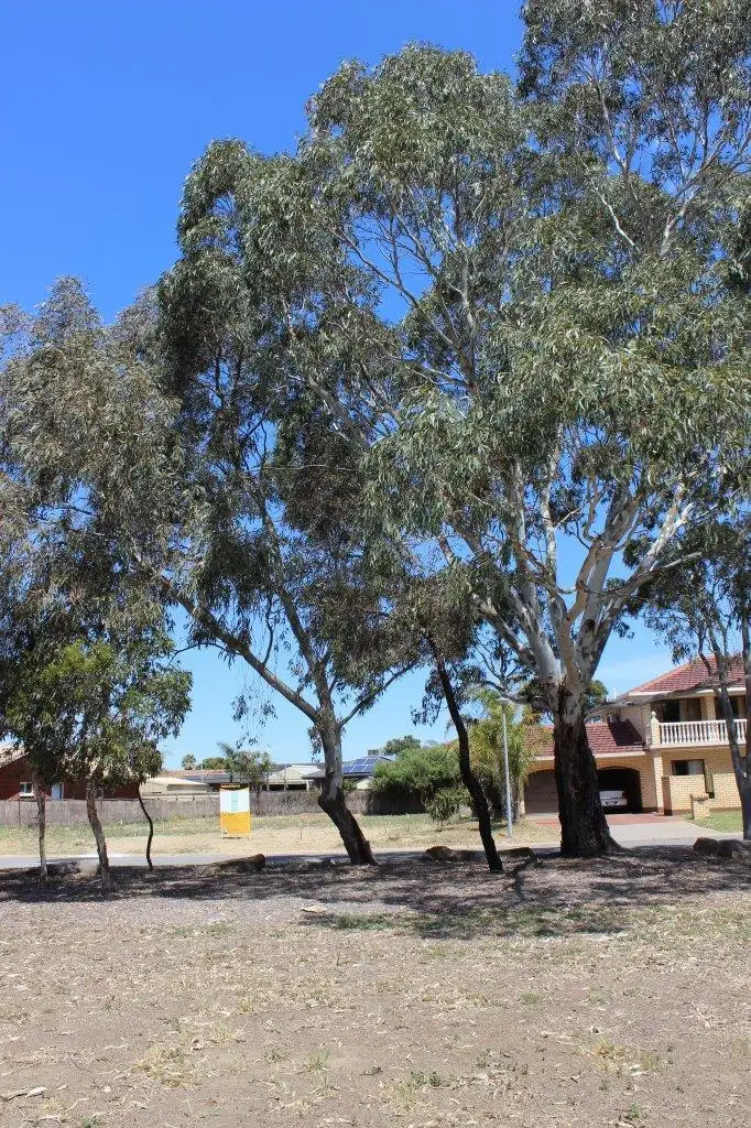 Third view of Homely land listing, Lot 1 36 Lambert Avenue, West Lakes Shore SA 5020