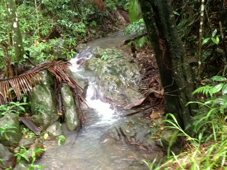 Fourth view of Homely land listing, 361 Schumanns Road, Eungella QLD 4757