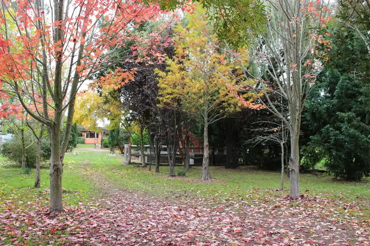 Second view of Homely house listing, 50 Wood Street, Tenterfield NSW 2372