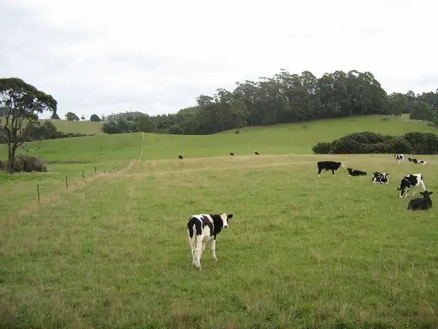 Sixth view of Homely rural property listing, 1556 Pine Road, Riana TAS 7316