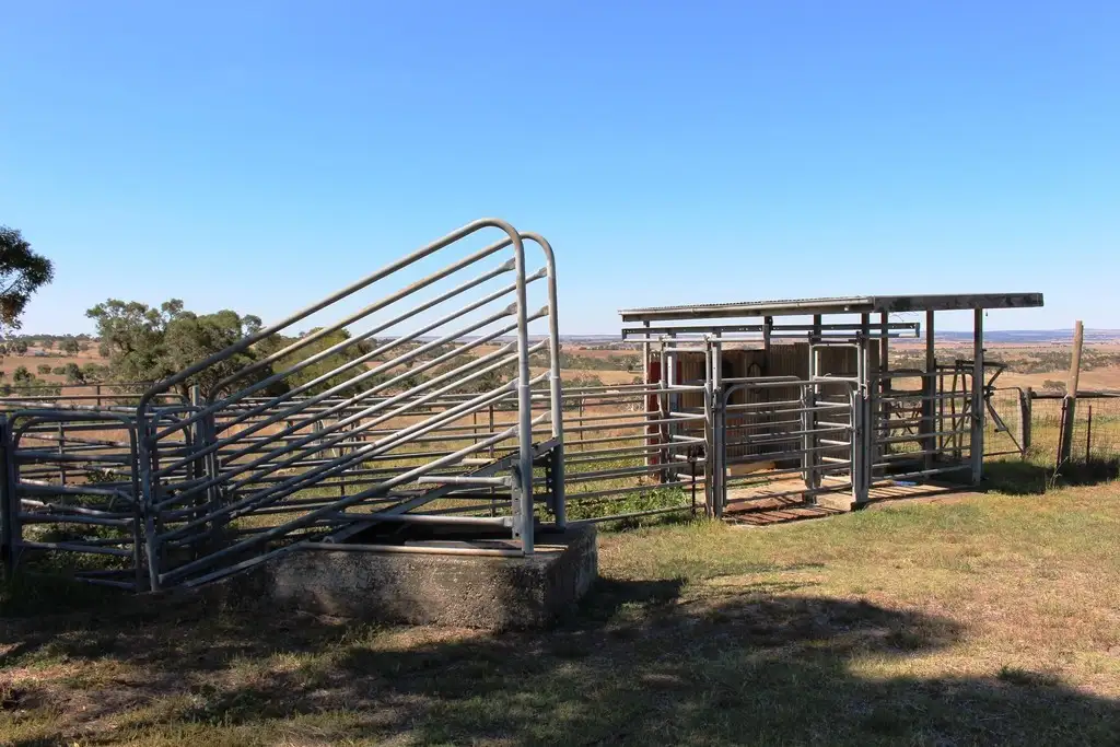 Main view of Homely rural property listing, 195 Scrubby Hill Road, Highland Valley SA 5255