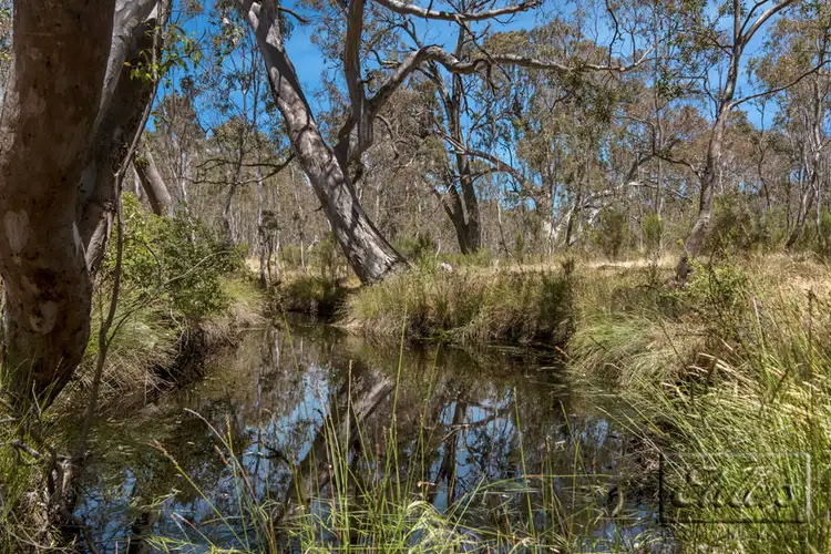Seventh view of Homely house listing, 628 Abbotts Road, Axe Creek VIC 3551
