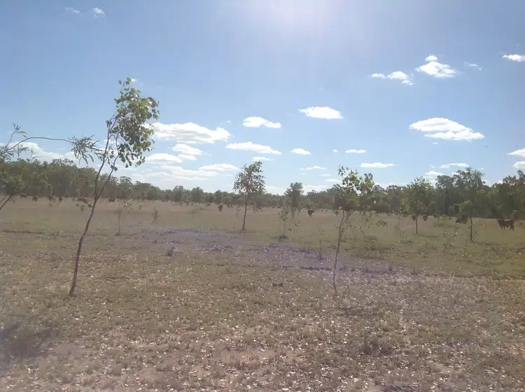 Seventh view of Homely rural property listing, 2326 Oxford Downs Rd, Nebo QLD 4742