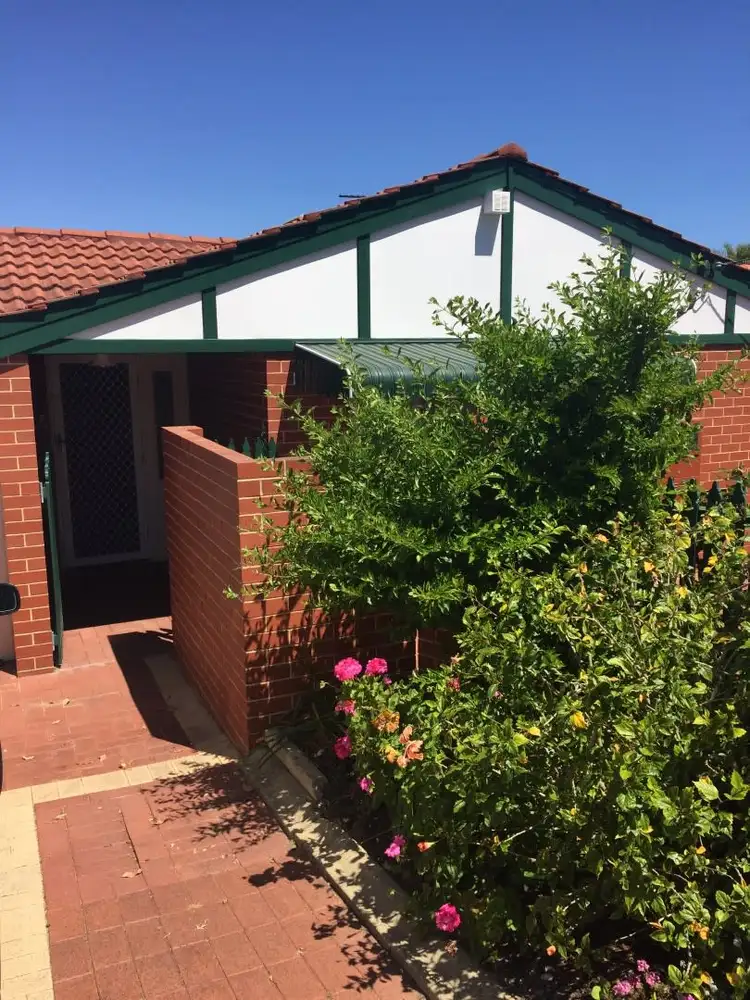 50 Harrison Street, Balcatta WA 6021
