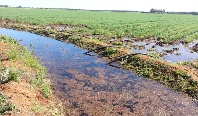 Fourth view of Homely rural property listing, "Cumberdeen" Culgoora Road, Wee Waa NSW 2388