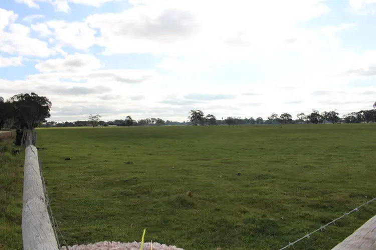 Fourth view of Homely rural property listing, 809 Cemetery Road, Kalangadoo SA 5278