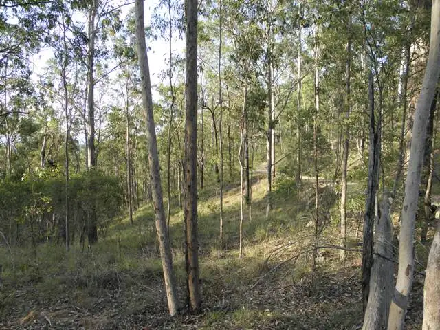555 Ramornie Station Road, Ramornie NSW 2460
