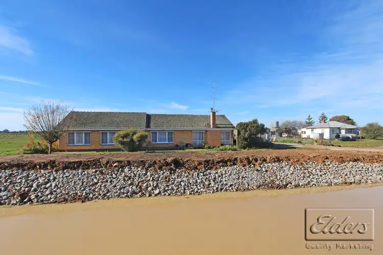 Main view of Homely house listing, 56 Hamleys Road, Dingee VIC 3571